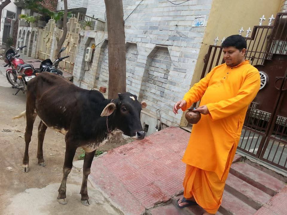Kartik Swami Jyotish Kendra gallery photo 1